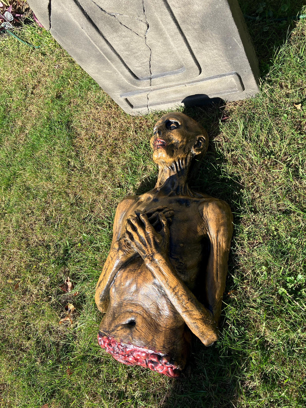 Corpse Half Body Horror Prop. Halloween Haunted Scenery. PICKUP ONLY