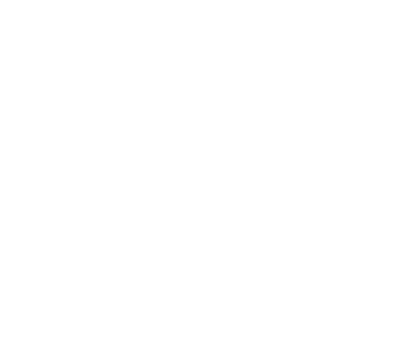 Skellitton Co