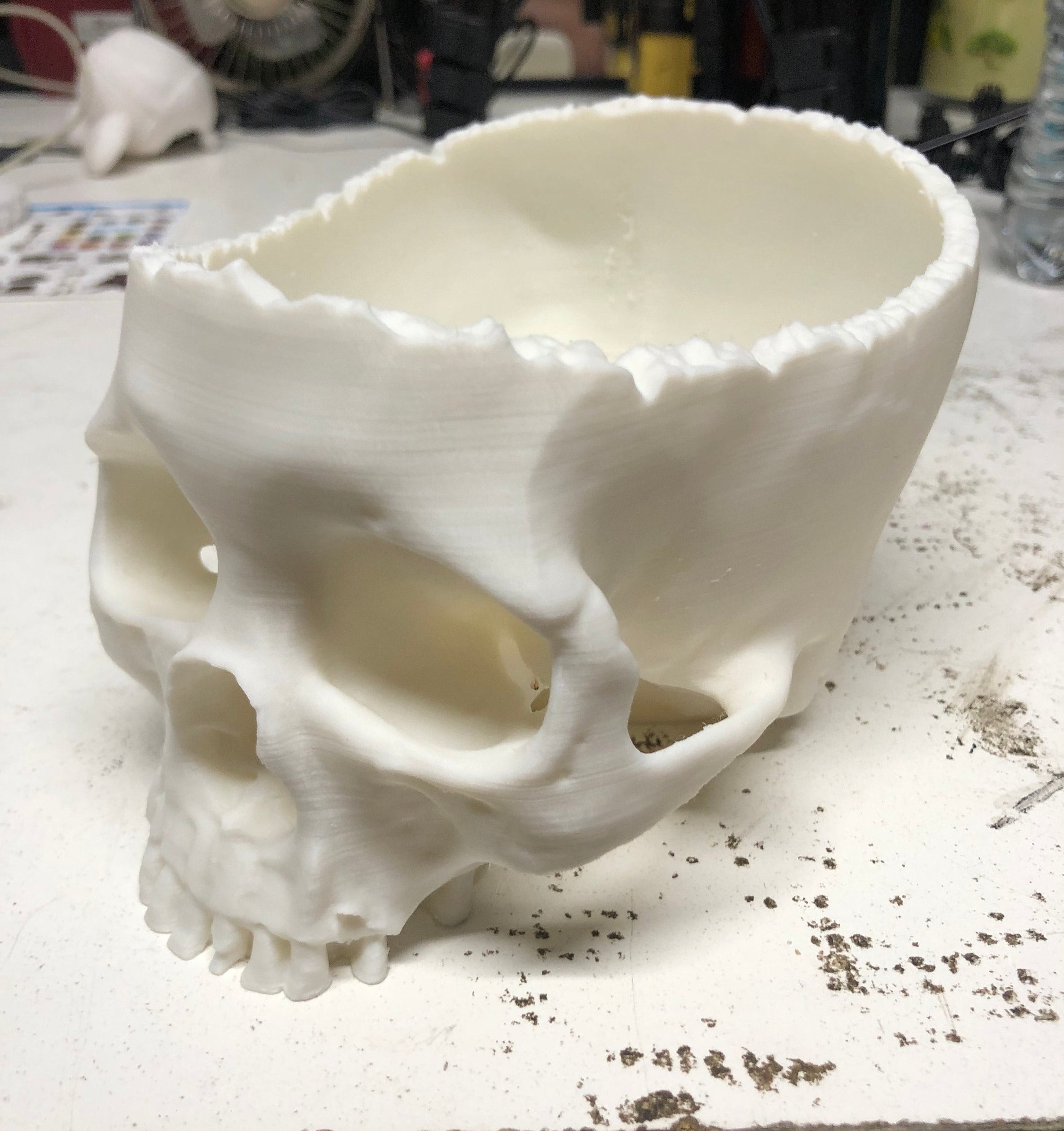 Skull Candy Bowl Halloween Realistic Trick Or Treat __etsy:5279654587