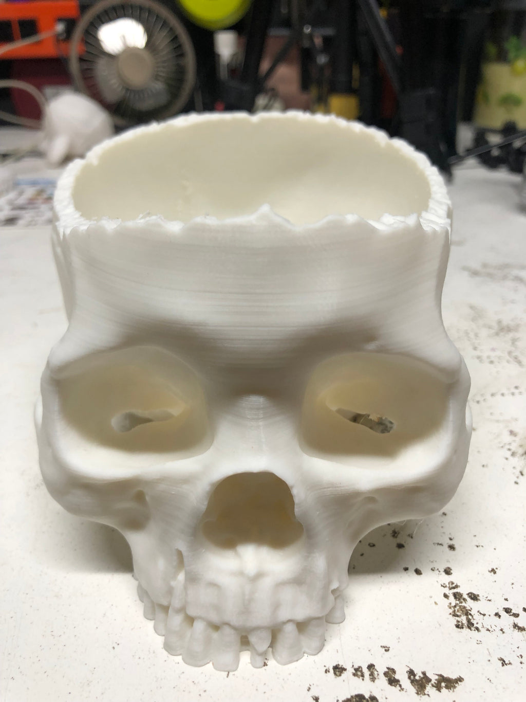 Skull Candy Bowl Halloween Realistic Trick Or Treat
