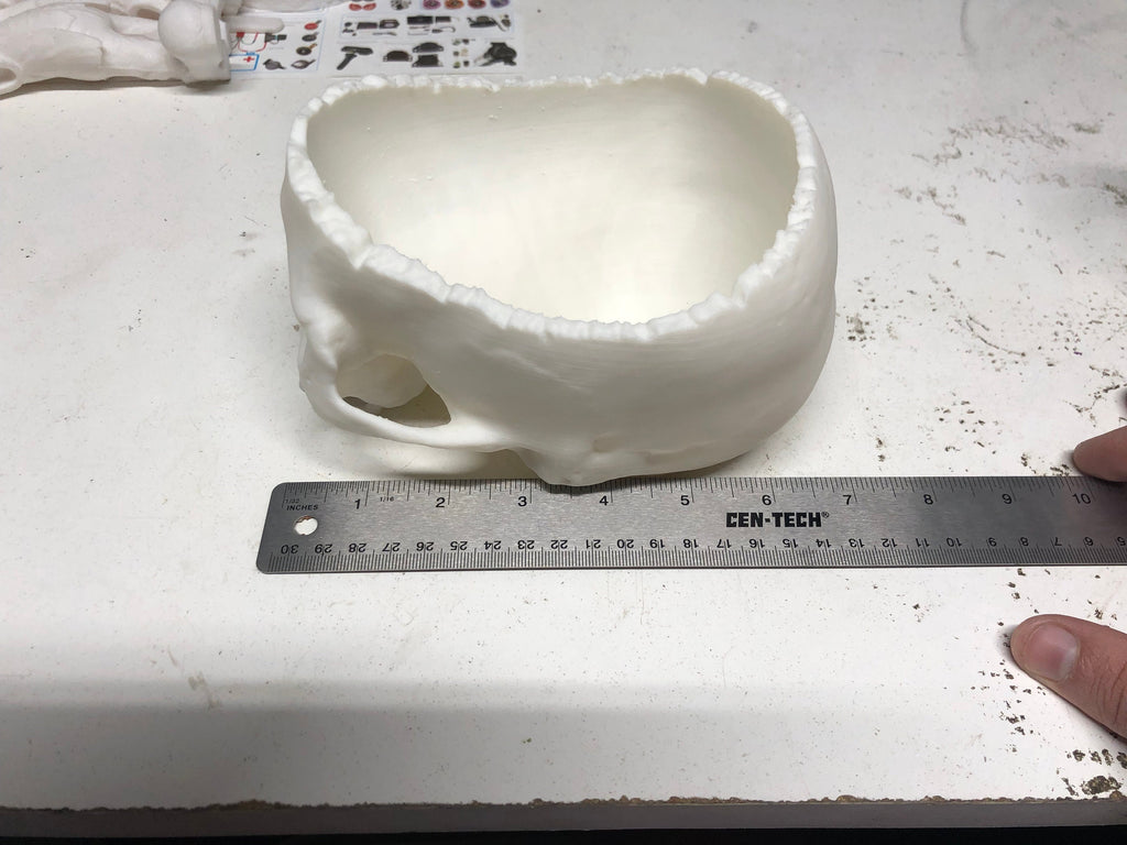 Skull Candy Bowl Halloween Realistic Trick Or Treat
