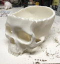 Skull Candy Bowl Halloween Realistic Trick Or Treat