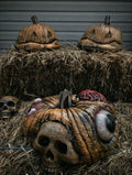 Gourd Abomination. Monster Pumpkin Prop (etsy image id: 7956205674)