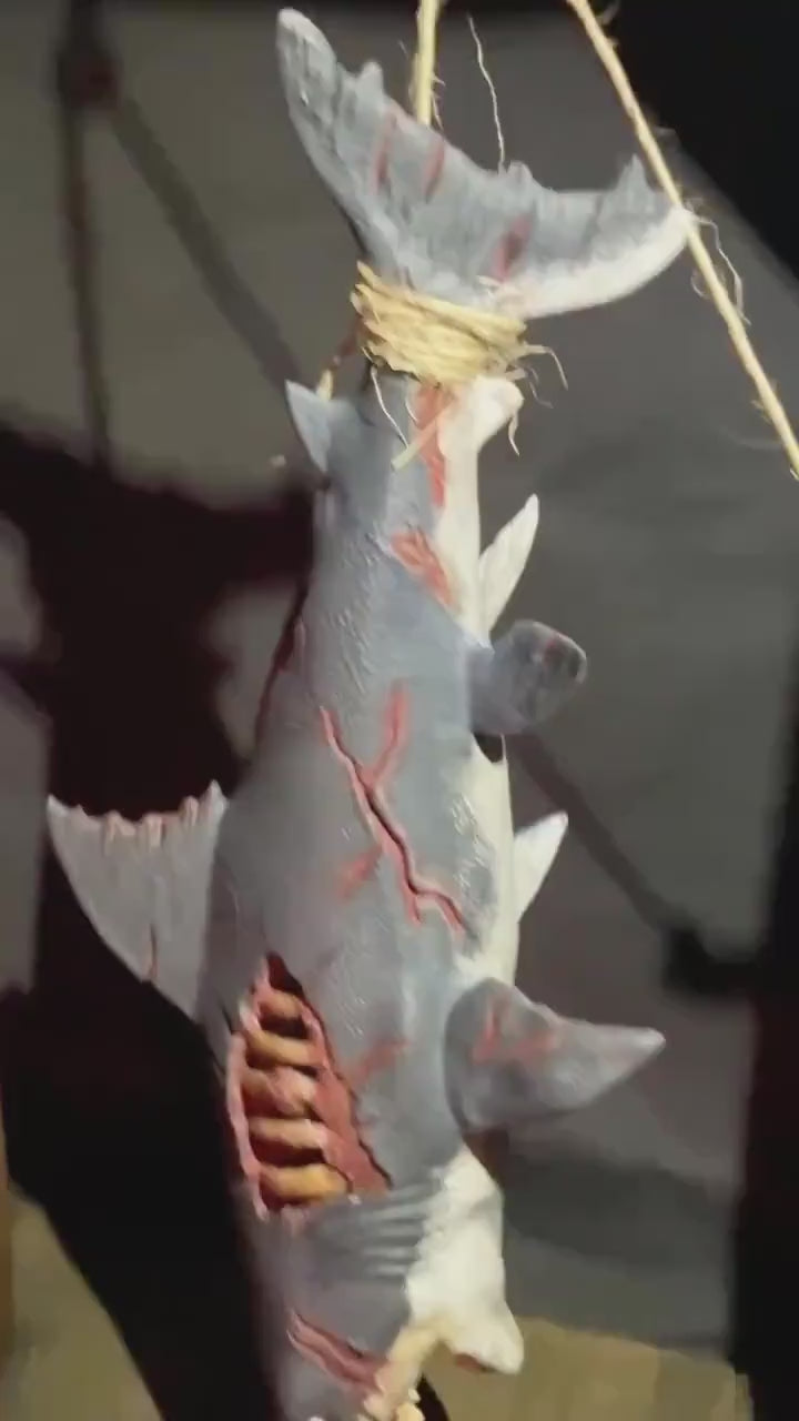 Decayed Zombie Shark Decorative Hanging Dock Display