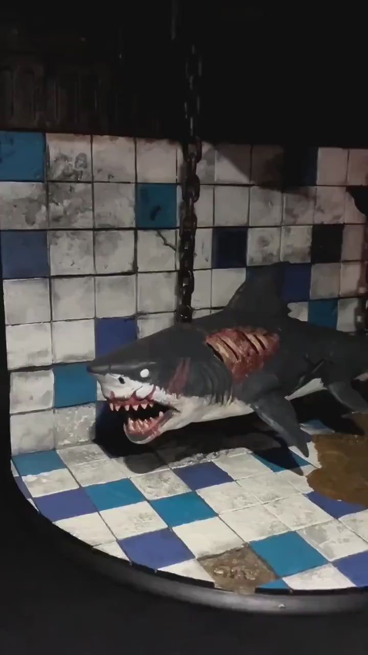 Decayed Zombie Shark Decorative Display